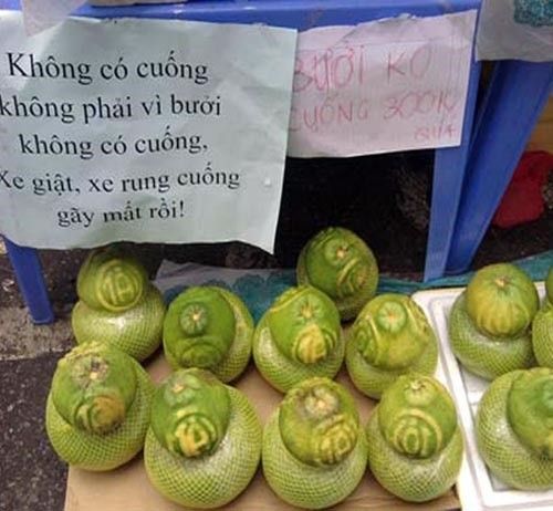 Đây hẳn nhiên là fan của nhà thơ Phạm Tiến Duật 