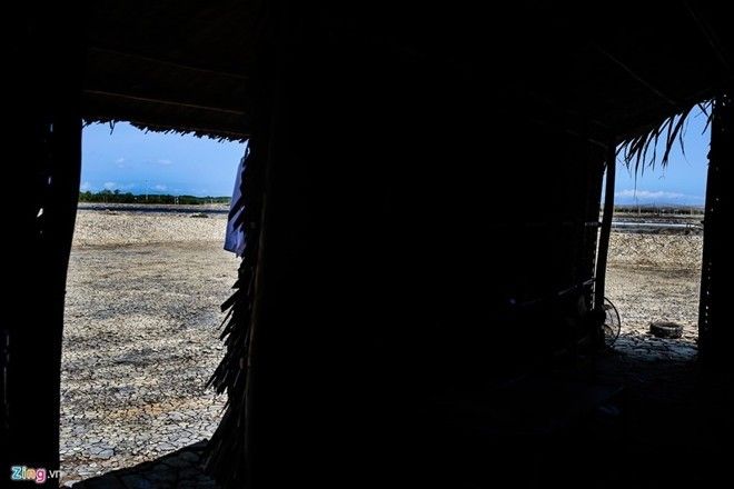 160513xahoi-lam-muoi-khong-du-mua-ly-ca-fe12