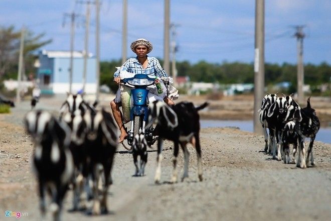 160513xahoi-lam-muoi-khong-du-mua-ly-ca-fe3