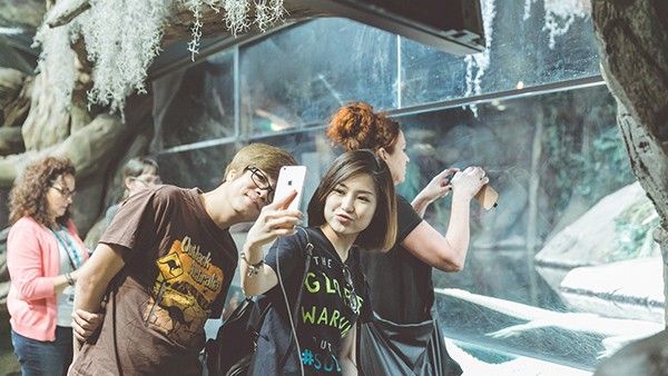 Hương Tràm kể mình và Bùi Anh Tuấn đã rất thích thú khi được tham quan Georgia Aquarium - thủy cung lớn nhất thế giới nằm ở Atlanta, Georgia.