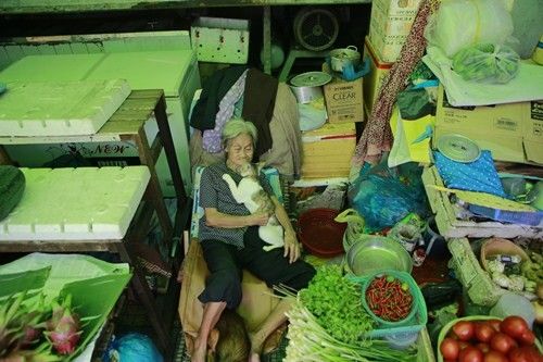 Cụ Tám đã về với trời nhưng tấm lòng nhân hậu của cụ cũng sẽ mãi tồn tại trong trái tim những người yêu quý cụ.