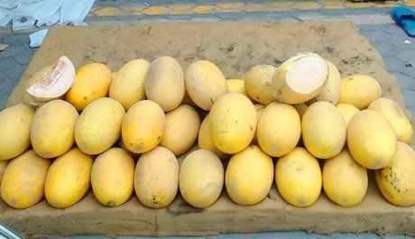 Dưa lưới vàng Trung Quốc có hình dáng thon dài giống hình dáng loại dưa hấu hắc mỹ nhân
