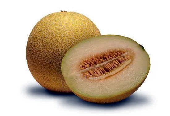 Dưa lưới vàng Việt Nam quả tròn, nhỏ chỉ tầm 1 kg/quả