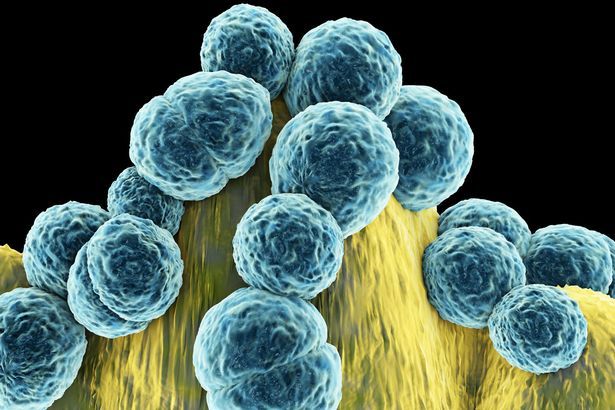 Các loại vi khuẩn sau một thời gian sẽ trở nên "nhờn" thuốc kháng sinh 