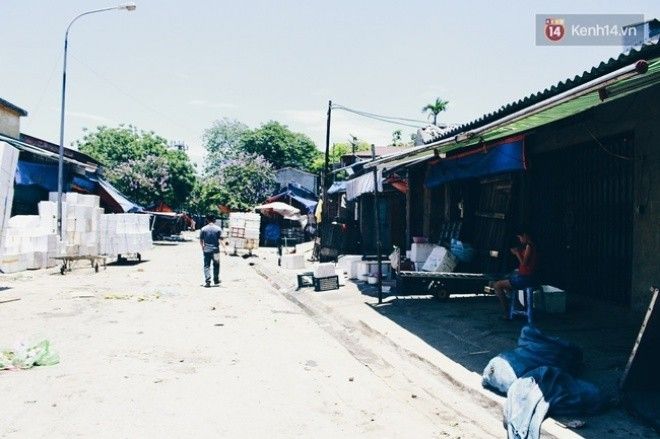 Những con đường ngập nắng. 