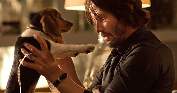 Keanu Reeves vẫn sẽ là người yêu chó trong John Wick 2.