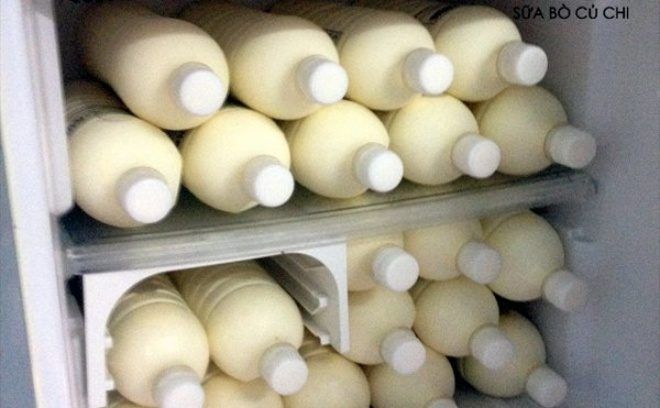 Chia sẻ của một người nông dân: Hết cách, sữa vắt ra lại cho chính đàn bò uống, hay dùng để nuôi heo, nuôi gà.