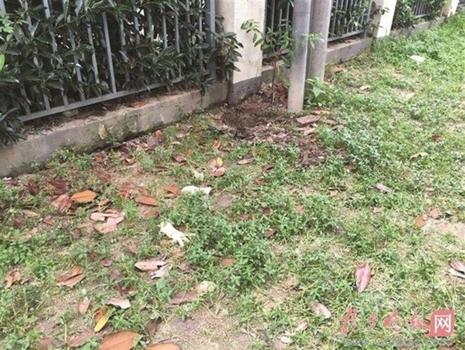 Nơi chôn xác 2 mẹ con xấu số.