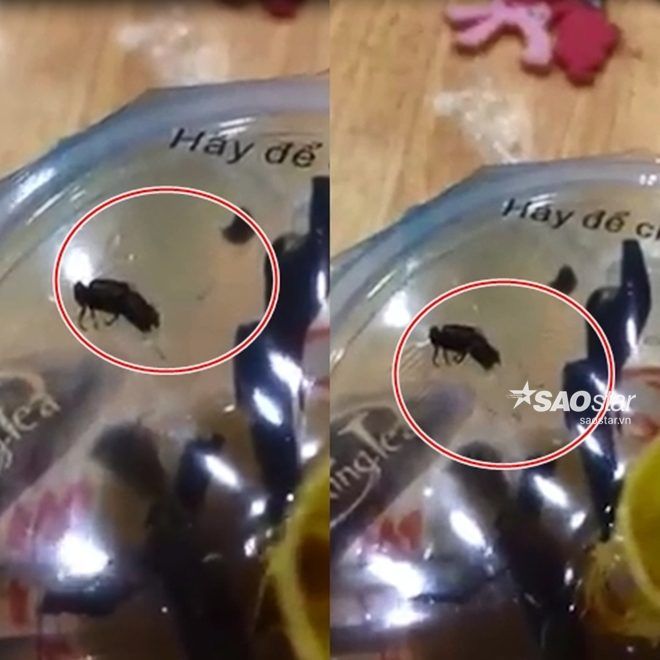 2-1466477301832-1466494848573