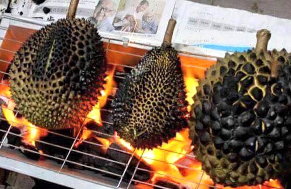 sauriengnuong01