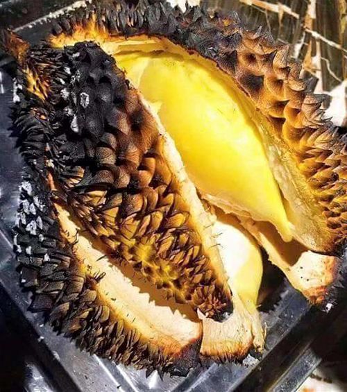 sauriengnuong02