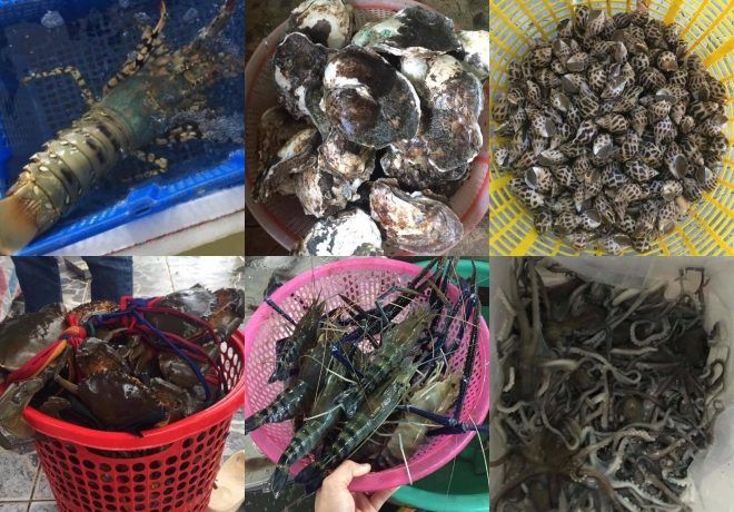 Một trong những nguyên liệu chính cho nồi lẩu hải sản dài kỷ lục của Cà Mau