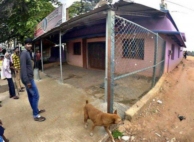 cho di quanh den thieng 2