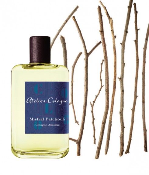 nuoc-hoa-nu-paris-mui-cua-nhung-hoai-co-ap-6