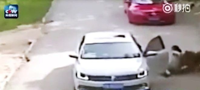 Con vật hoang dã lao vào tấn công, lôi đi cô gái trẻ chỉ khoảng 15 giây sau khi cô mở cửa xe.