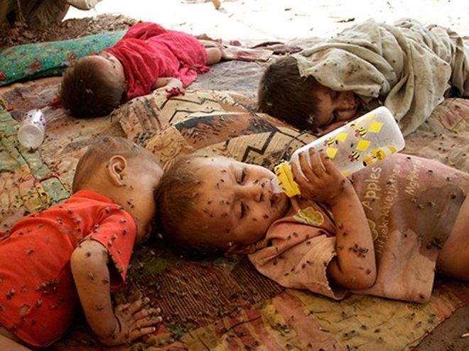 Bức ảnh của Mohammad Sajjad, làm việc cho hãng thông tấn AP, đã khiến cả thế giới bàng hoàng. Cậu bé bú bình sữa không đó là Reza Khan, 2 tuổi, đang sống ở một trại tạm tại tỉnh Khyber Pakhtunkhwa, Pakistan.