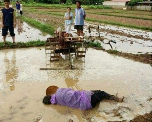 xot-xa-nguoi-cha-guc-chet-giua-thua-ruong-dang-cay-vi-kiet-suc