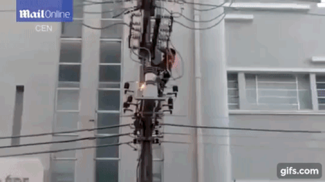 Clip: Bị điện giật tung người khi cố trèo cao ngắm Tổng thống Ảnh 2