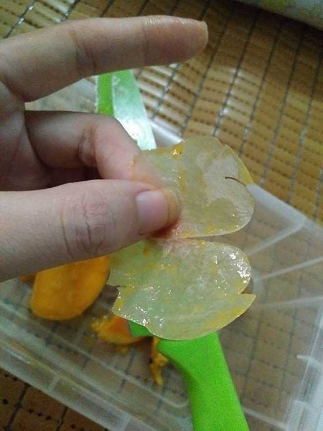 20160801145307-xoai-1