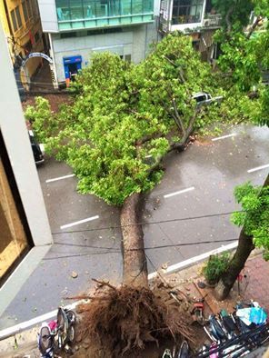 14055041_1574073919564715_251224519280944645_n