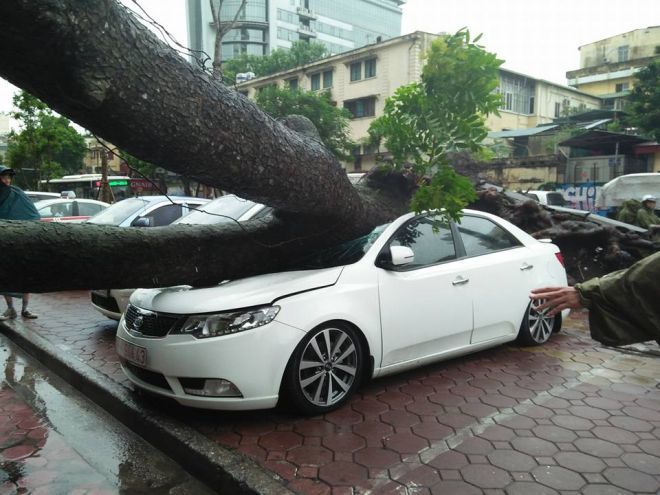 Tài xế may mắn thoát chết.