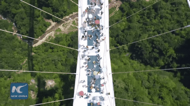 Trải nghiệm sự tận cùng sợ hãi khi bước trên cây cầu kính ngoạn mục bắc ngang ‘Pandora trên Trái đất’ Ảnh 2