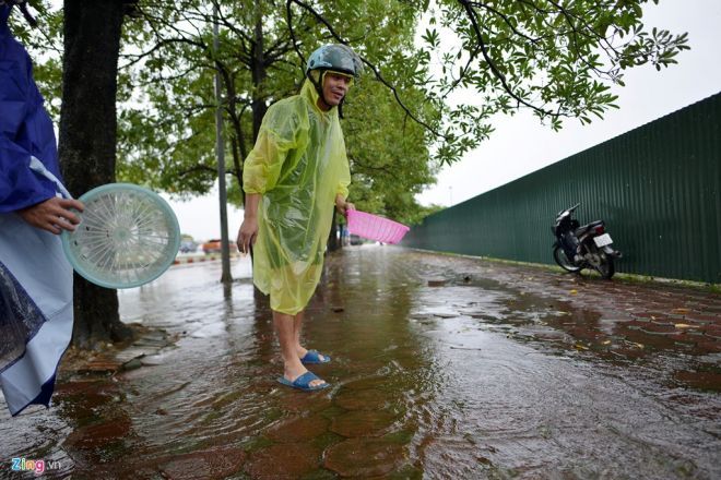 Sau trận mưa kéo dài sáng nay, nhiều loài cá rô đồng tràn qua ngoài đường.