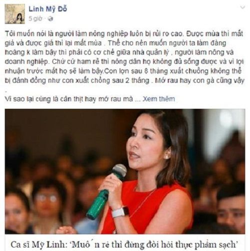 Mỹ Linh lên tiếng về phát ngôn vạ miệng của mình.