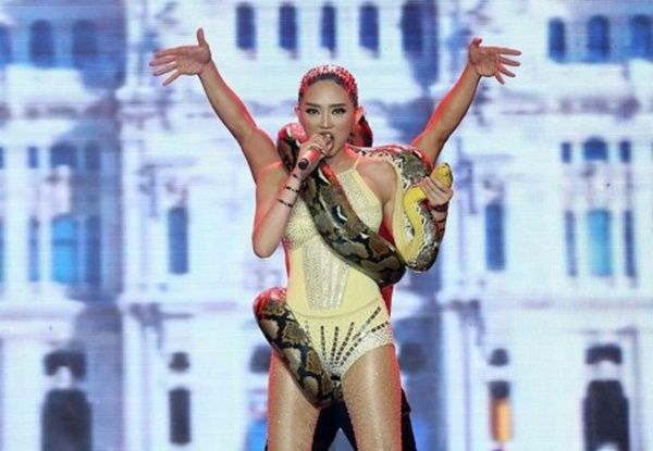 11174869_1081705845192795_3405208441176966677_n-490x339