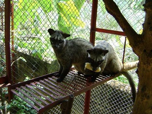 chonhuongkhiphoigiongmoinhotchung_1446255892