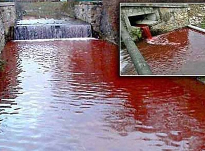 Dòng sông ở ngôi làng nhỏ Myjava (Slovakia), gần bên giới Cộng hòa Séc cũng đã chuyển dòng nước sang màu đỏ tươi như máu chỉ sau một đêm.