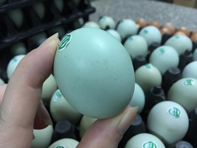 giat-minh-trung-ga-xanh-sieu-la-moi-ngay-ban-10000-qua-30-072005