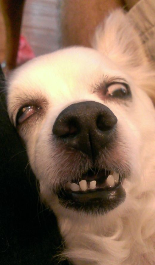 "Con biết tướng con ngủ là bao xấu, mẹ không được dìm... hàng...zzz".