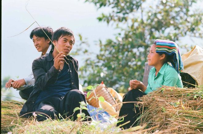 Nụ cười mùa gặt của những chàng trai, cô gái đang tuổi thanh xuân.