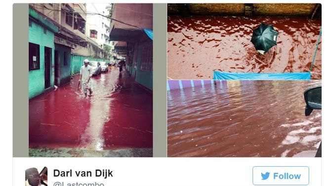 Các hình ảnh máu me tràn ngập các facebook.