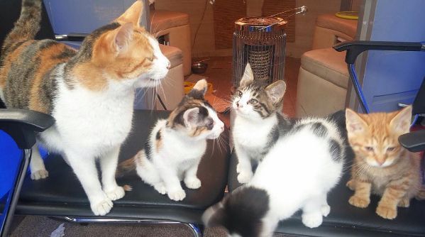 Canh đồn cả ngày chả ai thèm chụp ảnh, vừa nằm một tí thì bị cho lên sóng luôn, đúng là hư cấu!