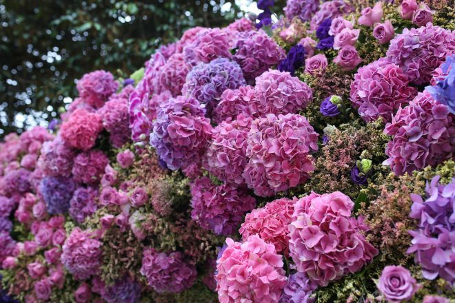 Cổng hoa “khổng lồ” này có kích thước 4,4m x 3m, hoa được cắm ở 3 mặt chứ không cắm một mặt như thông thường. Toàn bộ cổng đều được làm từ hoa chứ không sử dụng lá để độn thêm như các cổng hoa thông thường.