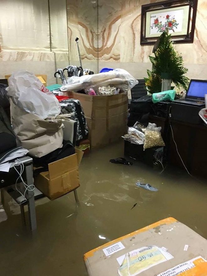 14459725_1537202992972160_374818894_n