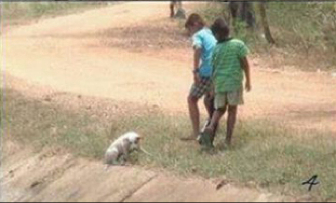 screen-shot-2016-09-28-at-14-15-09