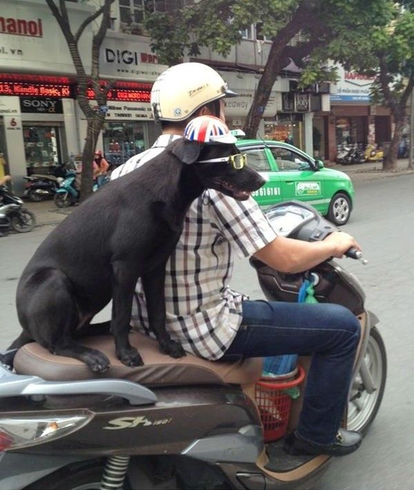 Những hình ảnh như thế này liệu có phải hình ảnh đẹp và không gây nguy hiểm cho cộng đồng?