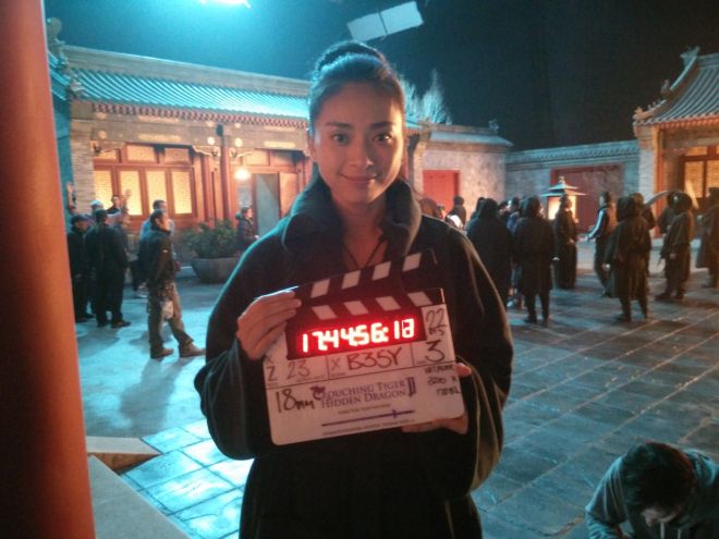 ngo-thanh-van-xuat-hien-tren-poster-phim-ngoa-ho-tang-long-phan-2