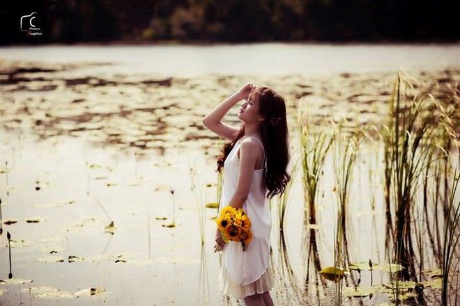 Dã quý có mặt ở khắp nơi tại thành phố hoa, song những cung đường ít có sự can thiệp của con người như đèo D’ran, đèo Phú Hiệp, đường đi Tà Nùng, đoạn suối Thông... là nhiều nhất. Ảnh: Tính Huỳnh. 