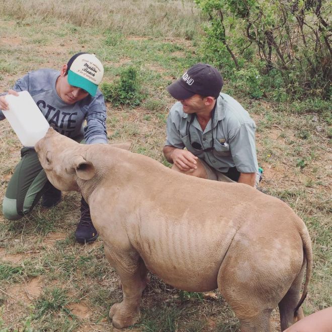 Phan Anh cho bé tê giác Mew Mew uống sữa.