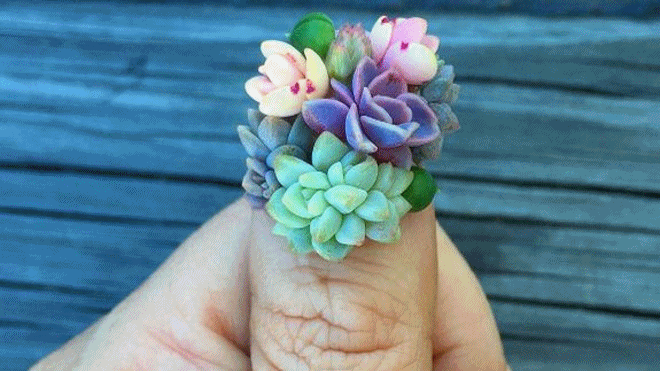 Đừng đùa, bây giờ bạn đã có thể đem cả vườn hoa lên từng ngón tay rồi! Ảnh 2