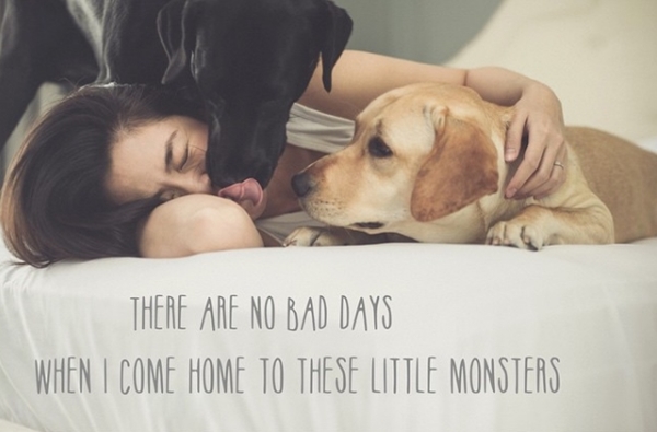 Hai chú chó tên Molly và April được "Ngọc nữ" ưu ái gọi là "Con yêu của mẹ".