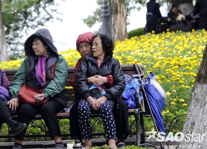 vov_ha-noi-chim-trong-gia-ret-2