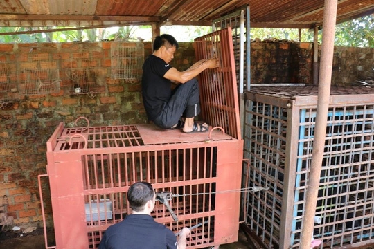 hy-huu-chuyen-4-chu-gau-muon-tu-tu-tai-gia-lai-29-101753