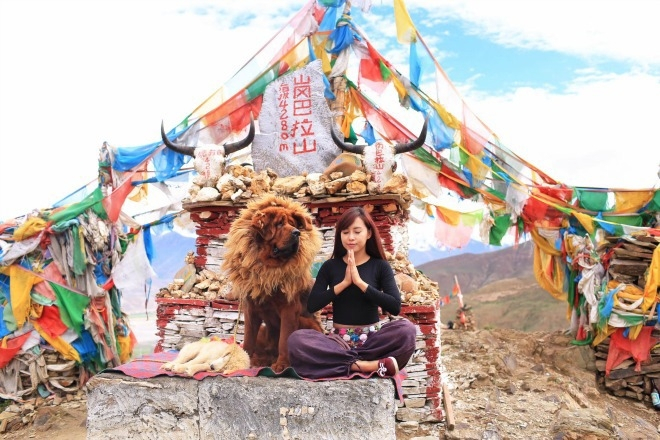1311yoga6