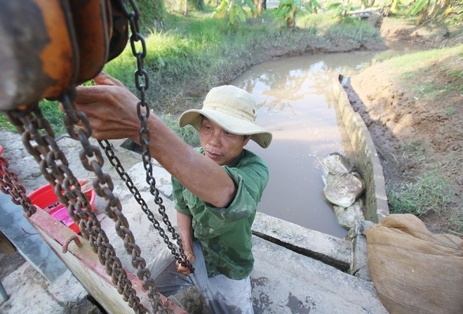 "Gia đình có 3,2 mẫu đất ruộng gần sông, một năm cấy một vụ lúa chiêm để tận dụng quỹ đất, tháng 7-8 âm lịch ủ đất và tạo dưỡng chất cho rươi sinh sống. Mùa rươi bắt đầu thu hoạch vào tháng 9 đến 11 (âm lịch). Rươi sống tự nhiên nên việc bắt phải dựa vào con nước", ông Bùi Văn Tưởng (thôn Quảng Xuyên, xã Tứ Xuyên, huyện Tứ Kỳ) vừa nói vừa kéo tời xích mở cửa van đập cho nước từ sông Thái Bình theo thủy triều chảy vào ruộng để kích thích rươi ngoi lên mặt nước.
