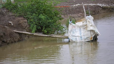 Việt Nam còn 35% hộ gia đình nông thôn chưa có nhà vệ sinh đạt chuẩn. Ảnh minh hoạ